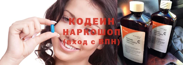 индика Абаза
