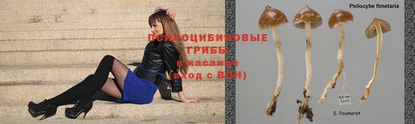 прущие грибы Алексеевка