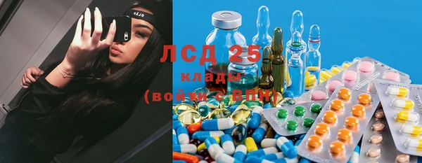 прущие грибы Алексеевка