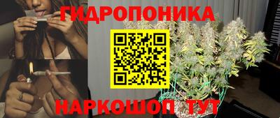 шишки Бузулук
