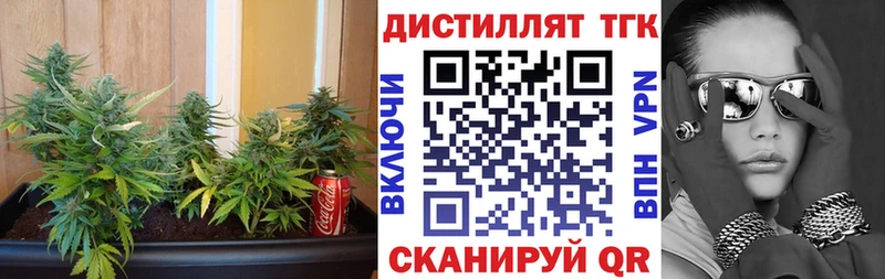 ТГК THC oil  кракен зеркало  Касимов 