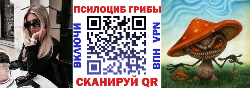 купить   OMG рабочий сайт  Галлюциногенные грибы GOLDEN TEACHER  Касимов 