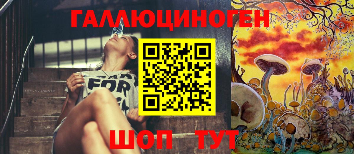 Псилоцибиновые грибы Psilocybe  Вход с VPN  Касимов 