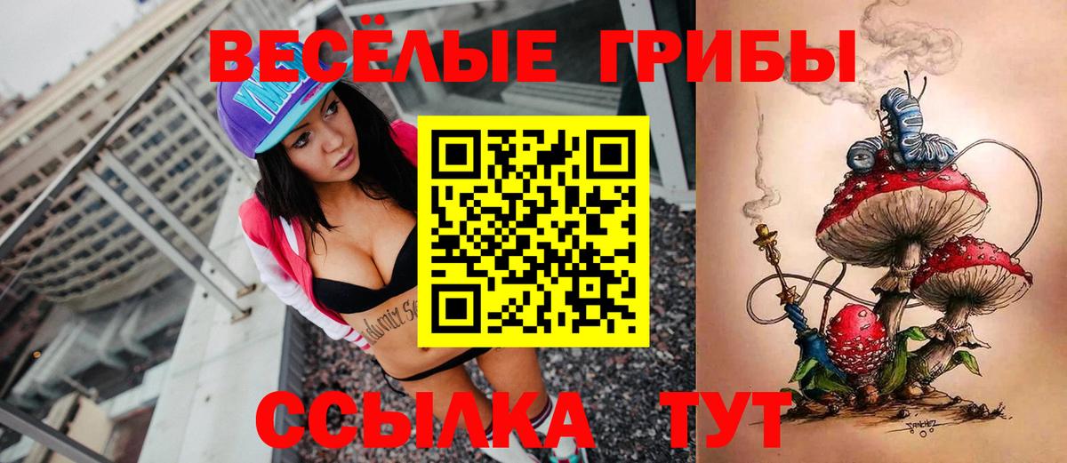 Галлюциногенные грибы GOLDEN TEACHER Касимов