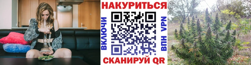 KRAKEN сайт купить наркотики сайты Касимов Бошки Шишки SATIVA & INDICA